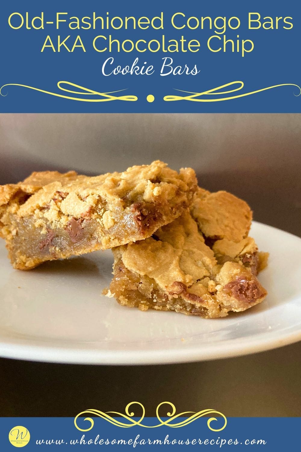 Old-Fashioned Congo Bars AKA Chocolate Chip Cookie Bars