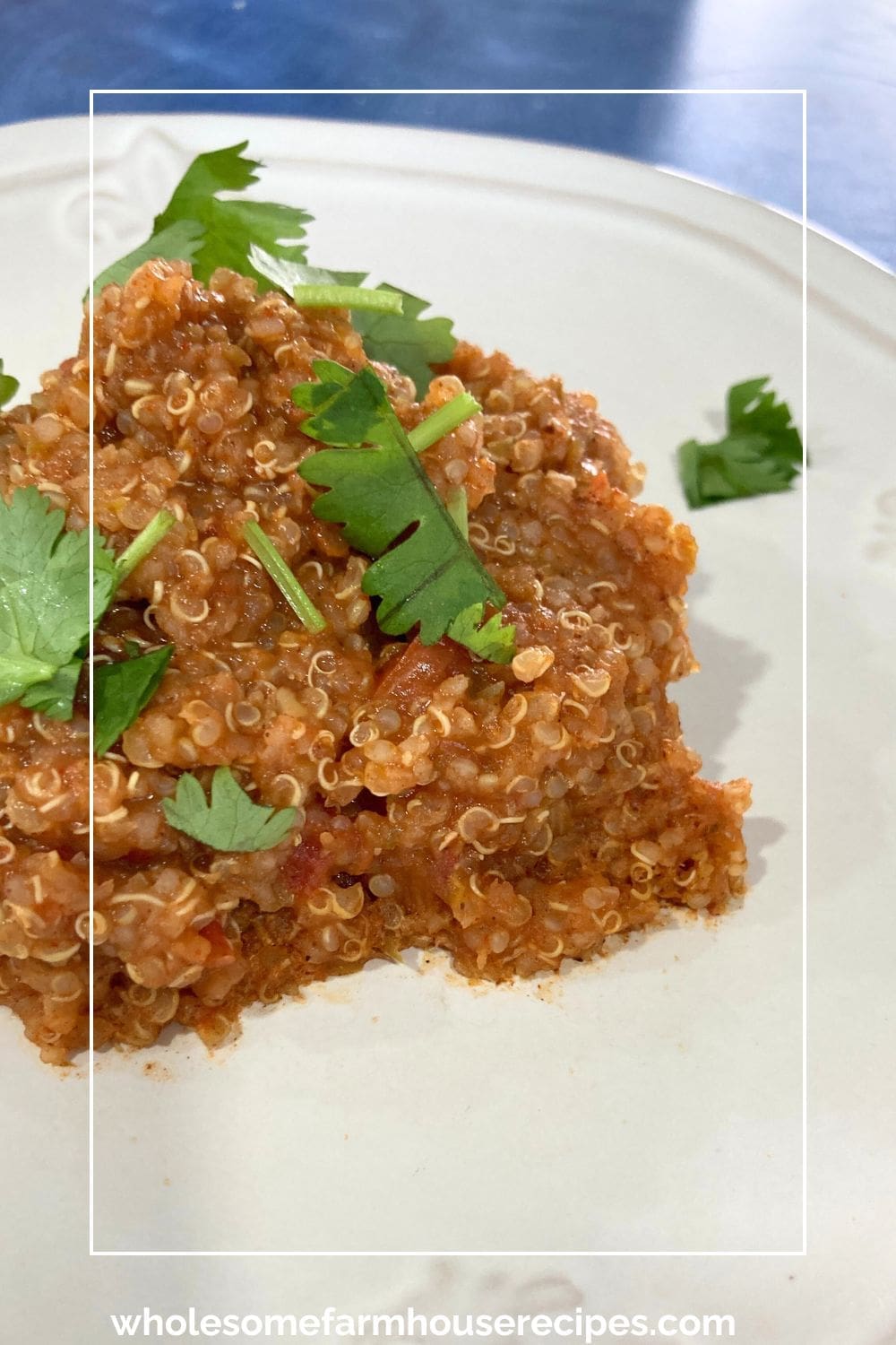 Mexican Quinoa Recipe plated