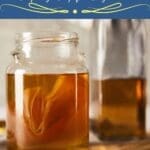 Fermented Kefir vs Kombucha vs Apple Cider Vinegar