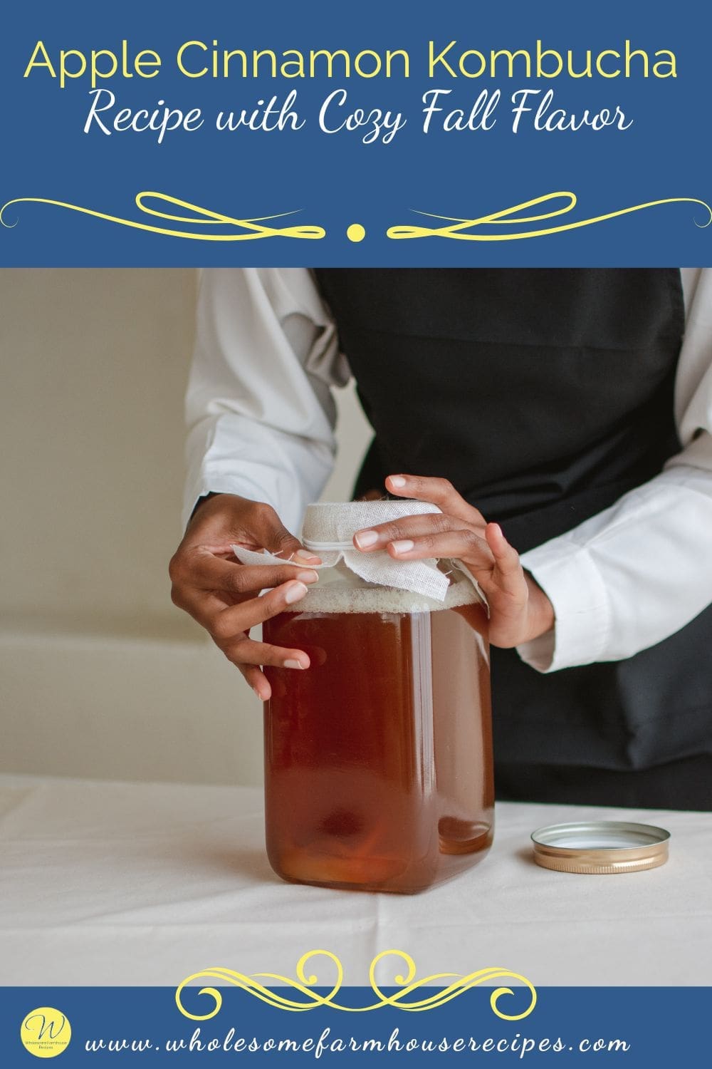 Apple Cinnamon Kombucha Recipe with Cozy Fall Flavor