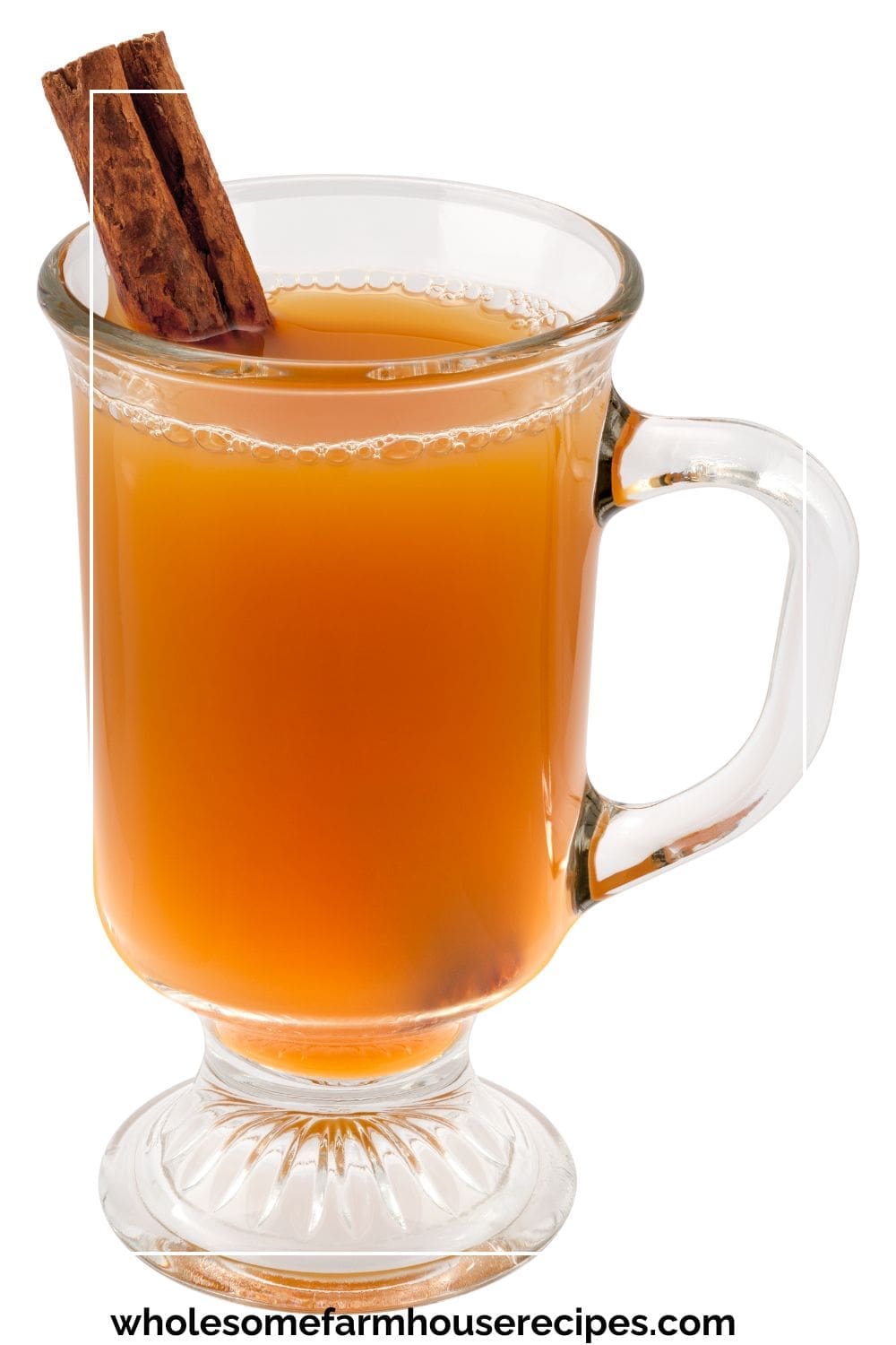 Apple Kombucha with Cinnamon Sticks