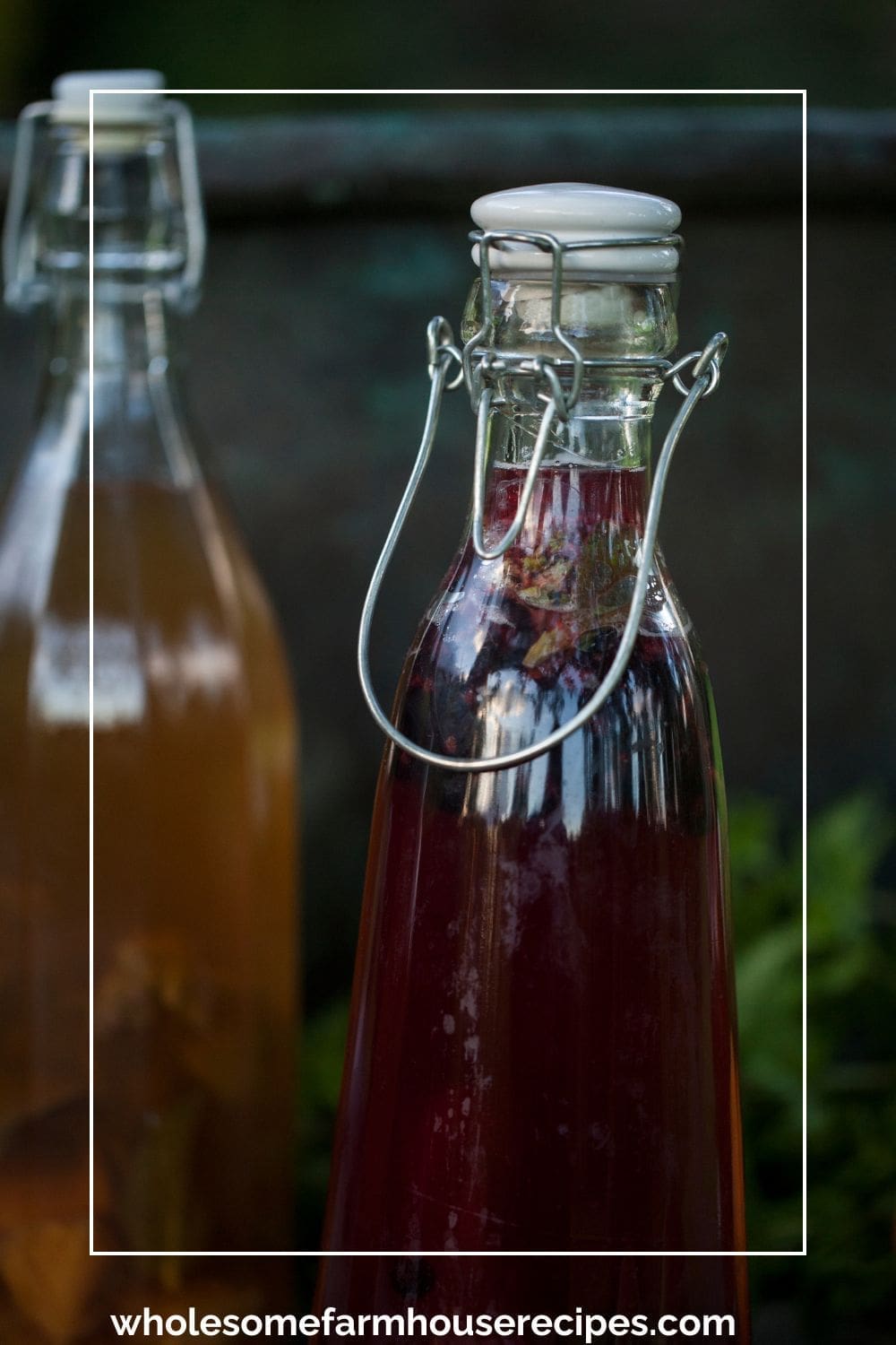 Bottle of Blueberry Kombucha