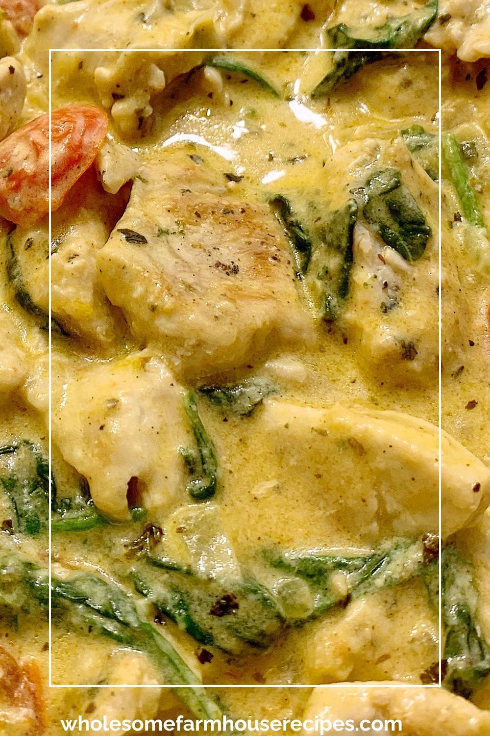 Creamy Tuscan Chicken Close up