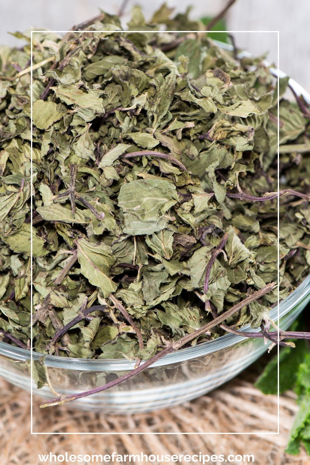 Dried Mint Leaves