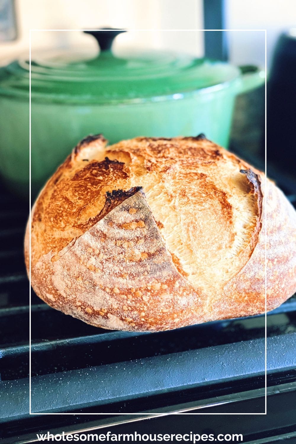 Rustic Loaf of Bread by Dutch Oven