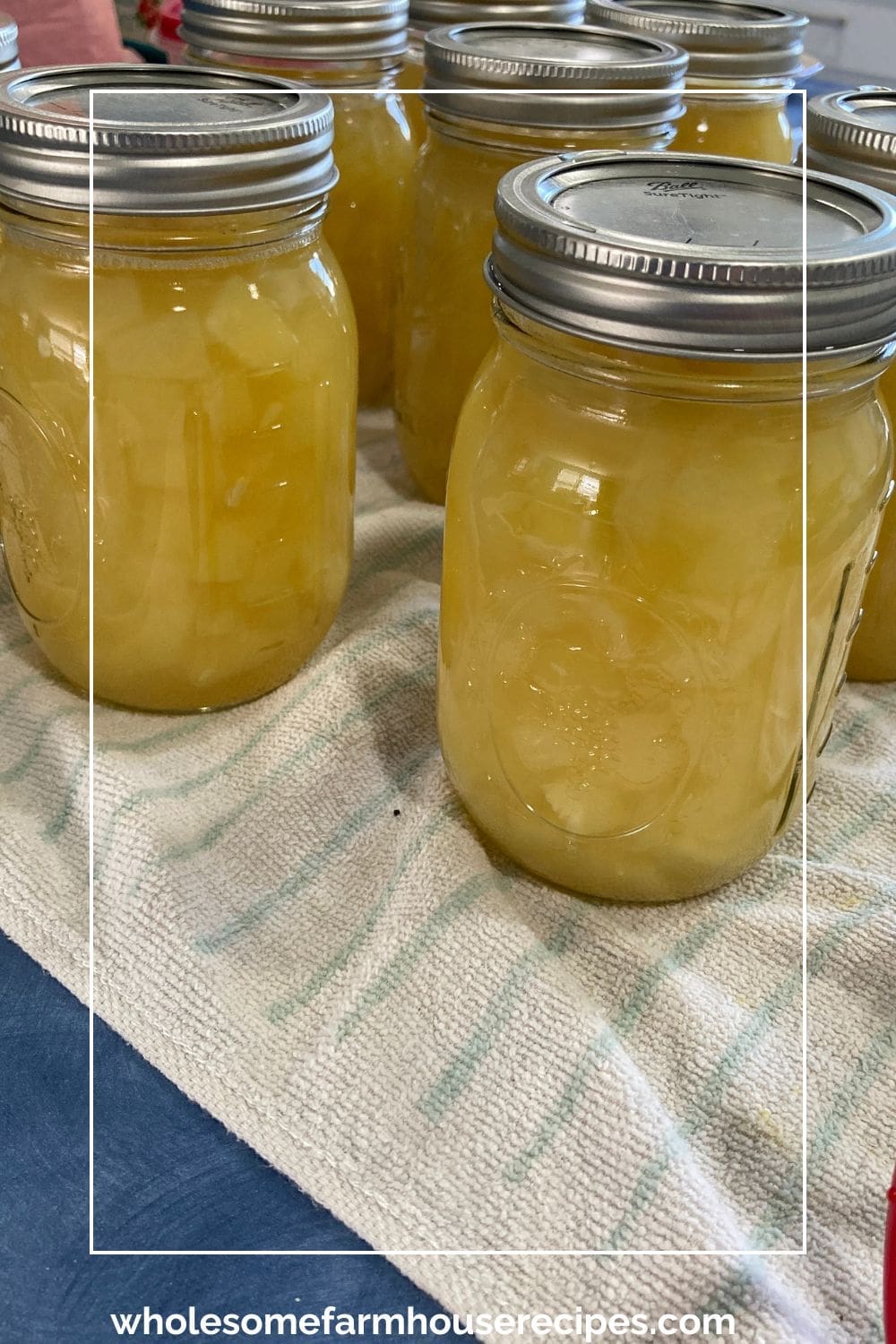 Canned Zucchini Pineapple in Pint Jars