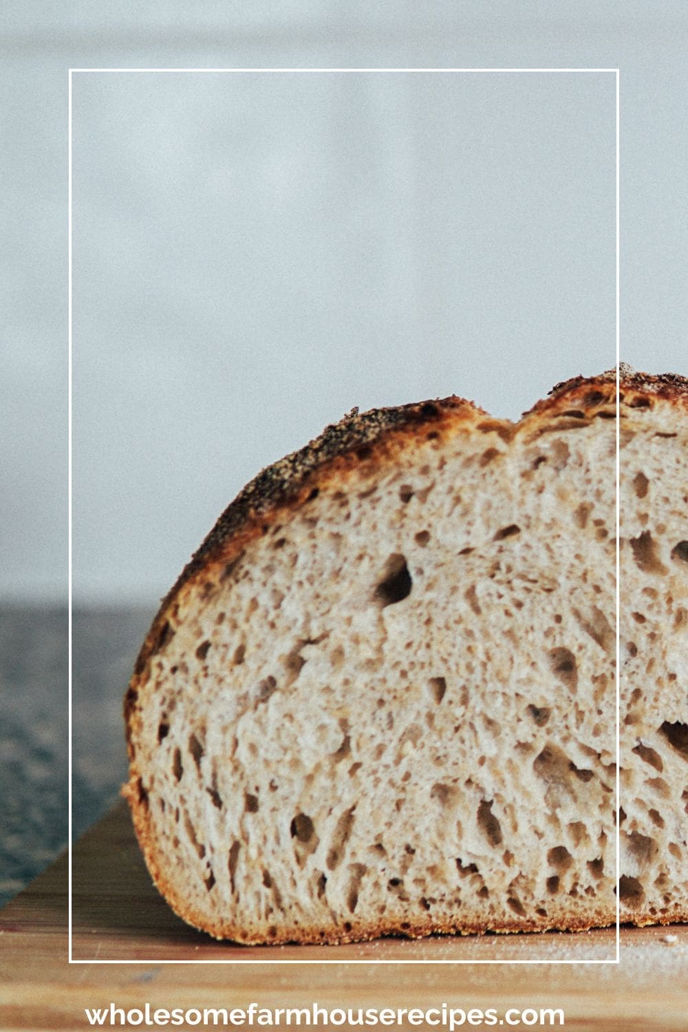 Soft Moist Crumb of Whole Wheat Bread