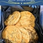 Old Fashioned Fried Zucchini Squash Blossoms Recipe