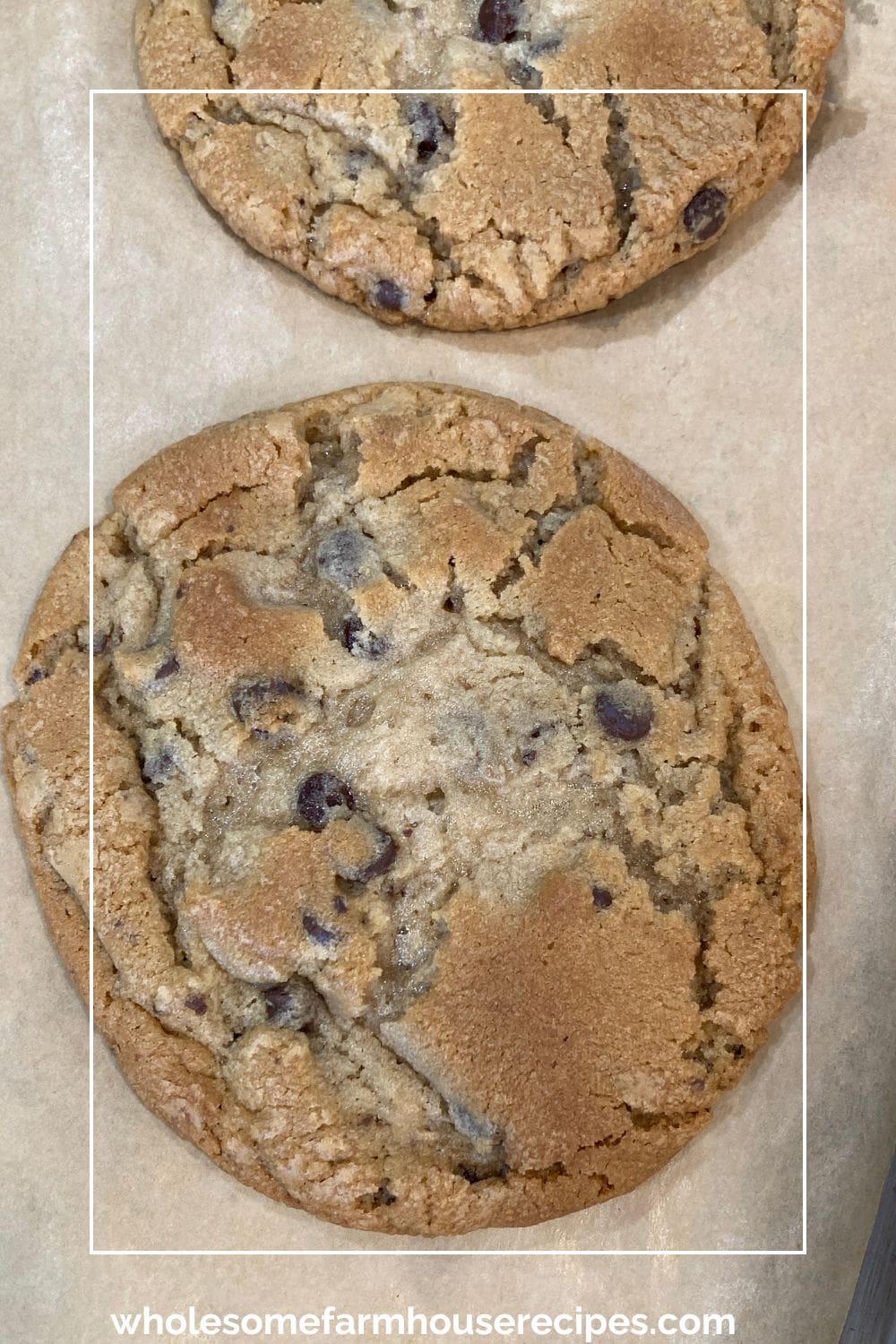 Close up of Large Chocolate Chip Cookie