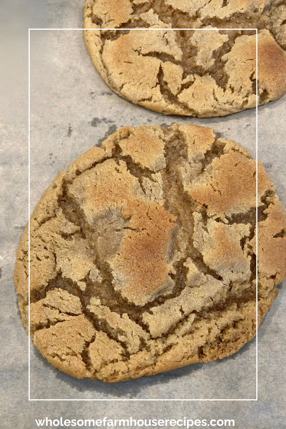 Close up of Large Peanut Butter Cookie