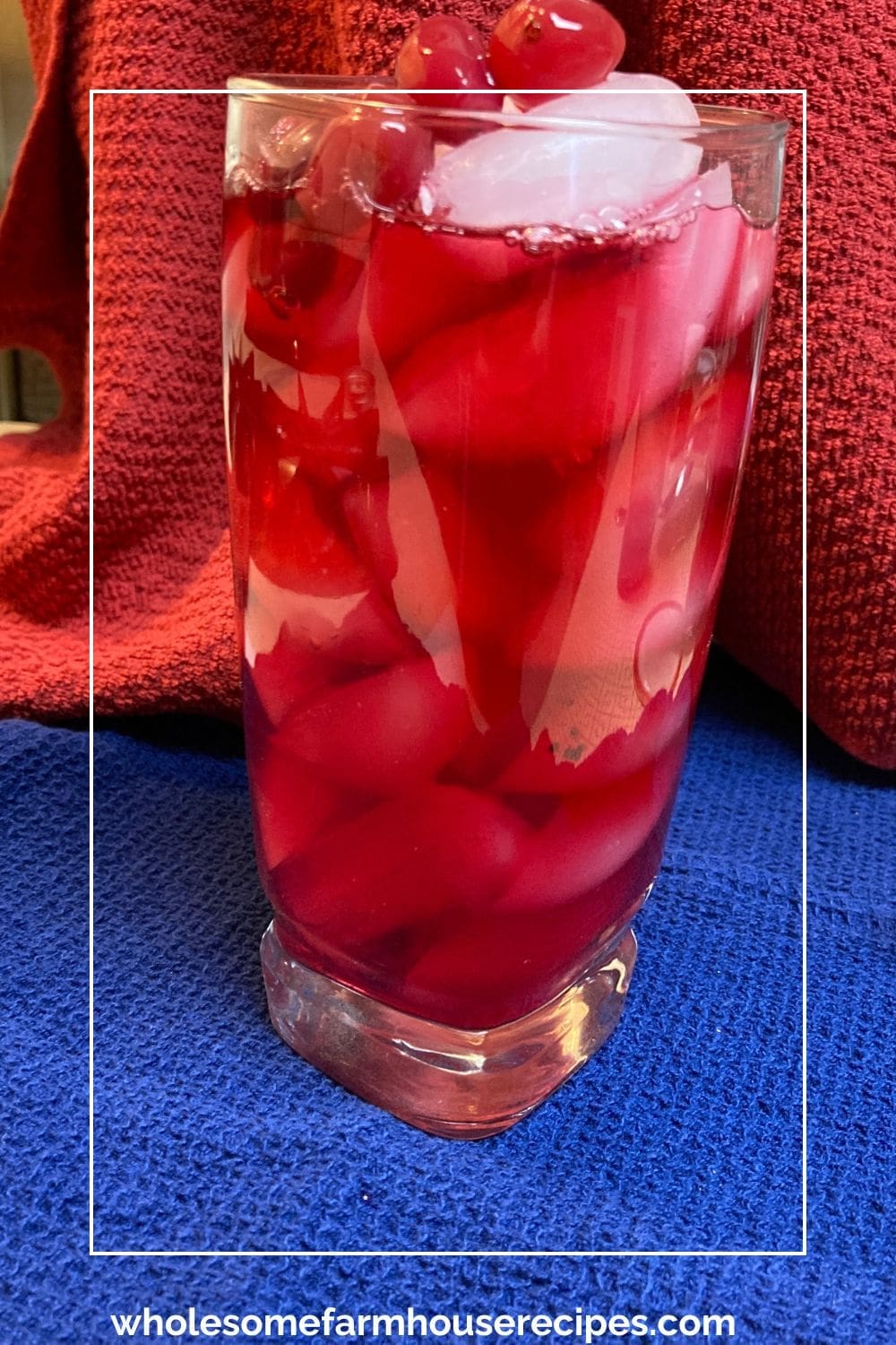 Glass of Refreshing Homemade Cranberry Juice
