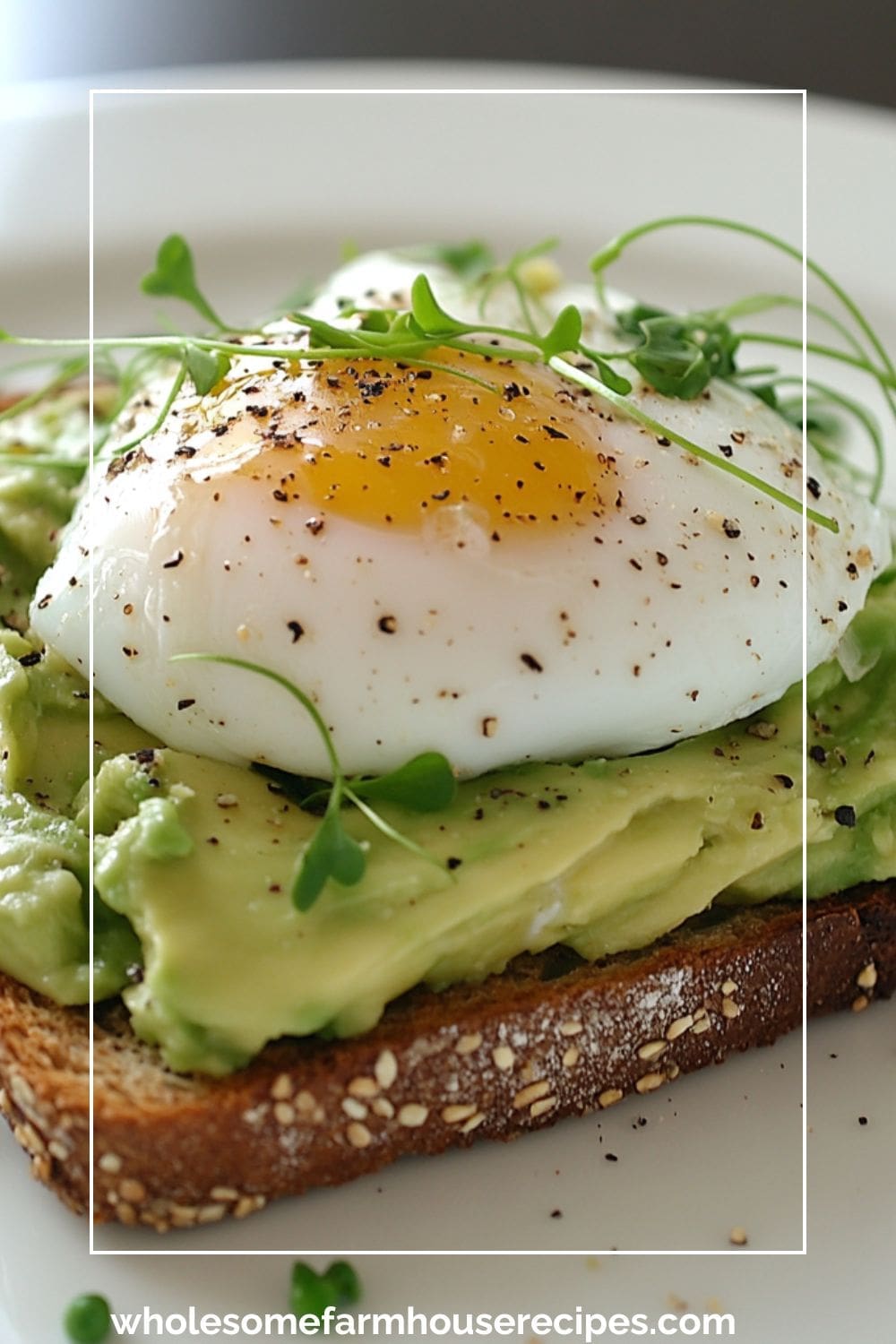Poached Egg on Avocado Toast