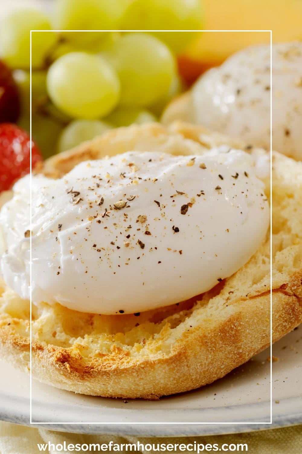 Poached Egg on English Muffin
