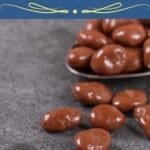 Nutter Butter Truffles (Easy No-Bake Recipe)