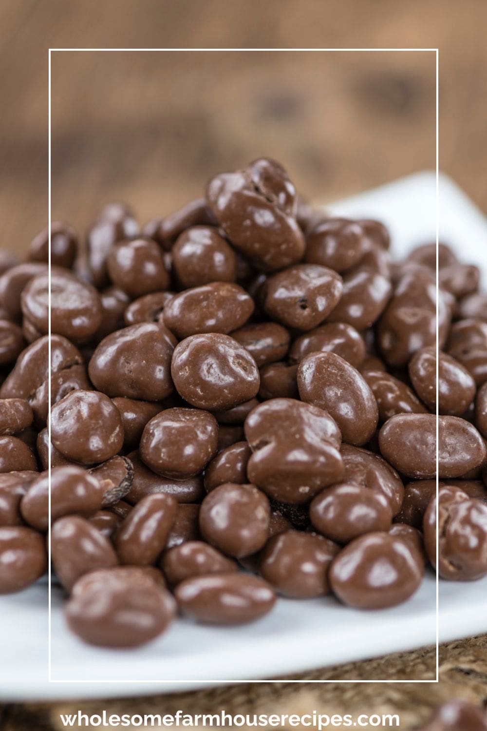 dark chocolate Covered Raisins