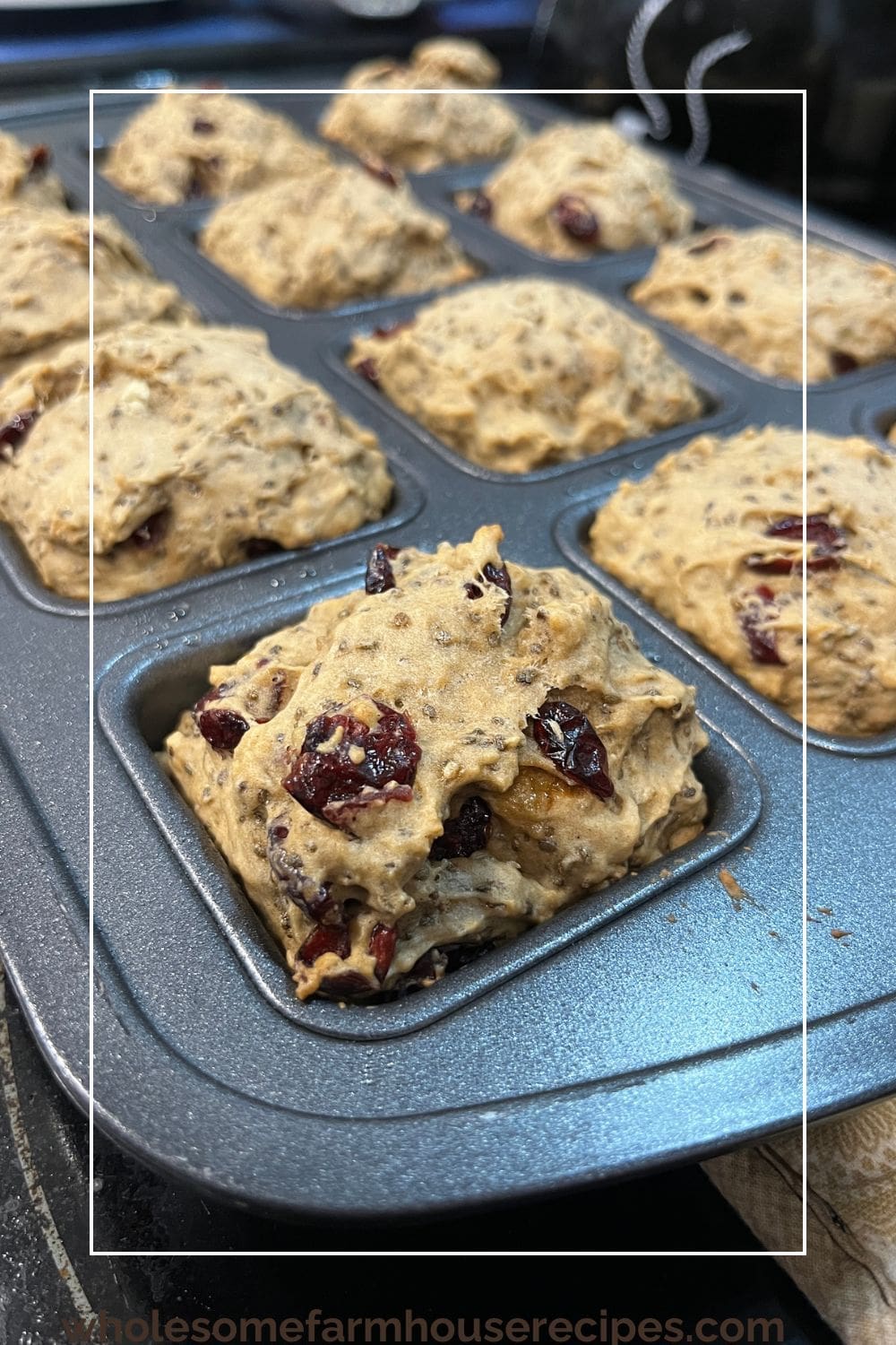 Homemade Chia Seed Muffins Fresh out of the oven