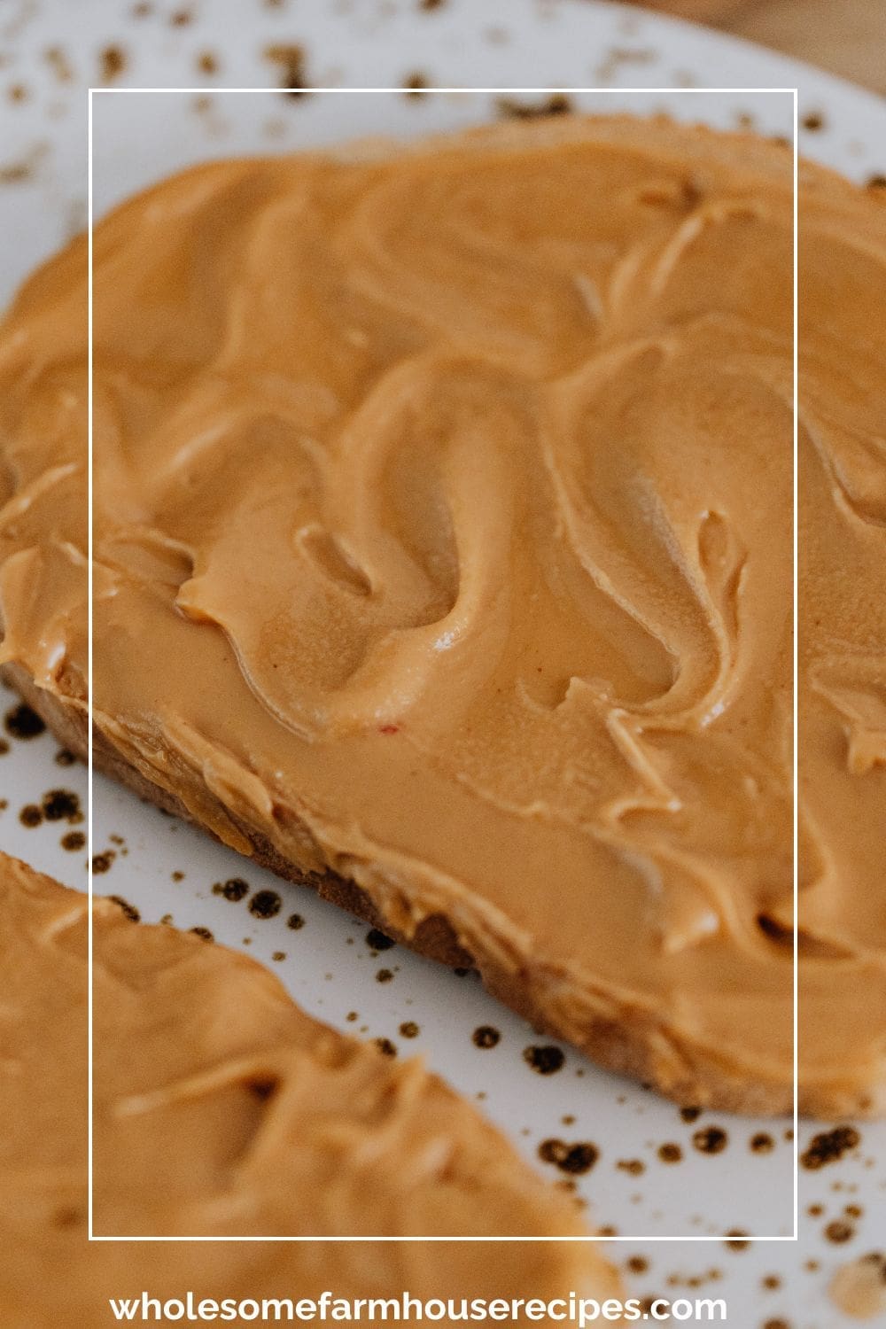 Peanut Butter Sandwich