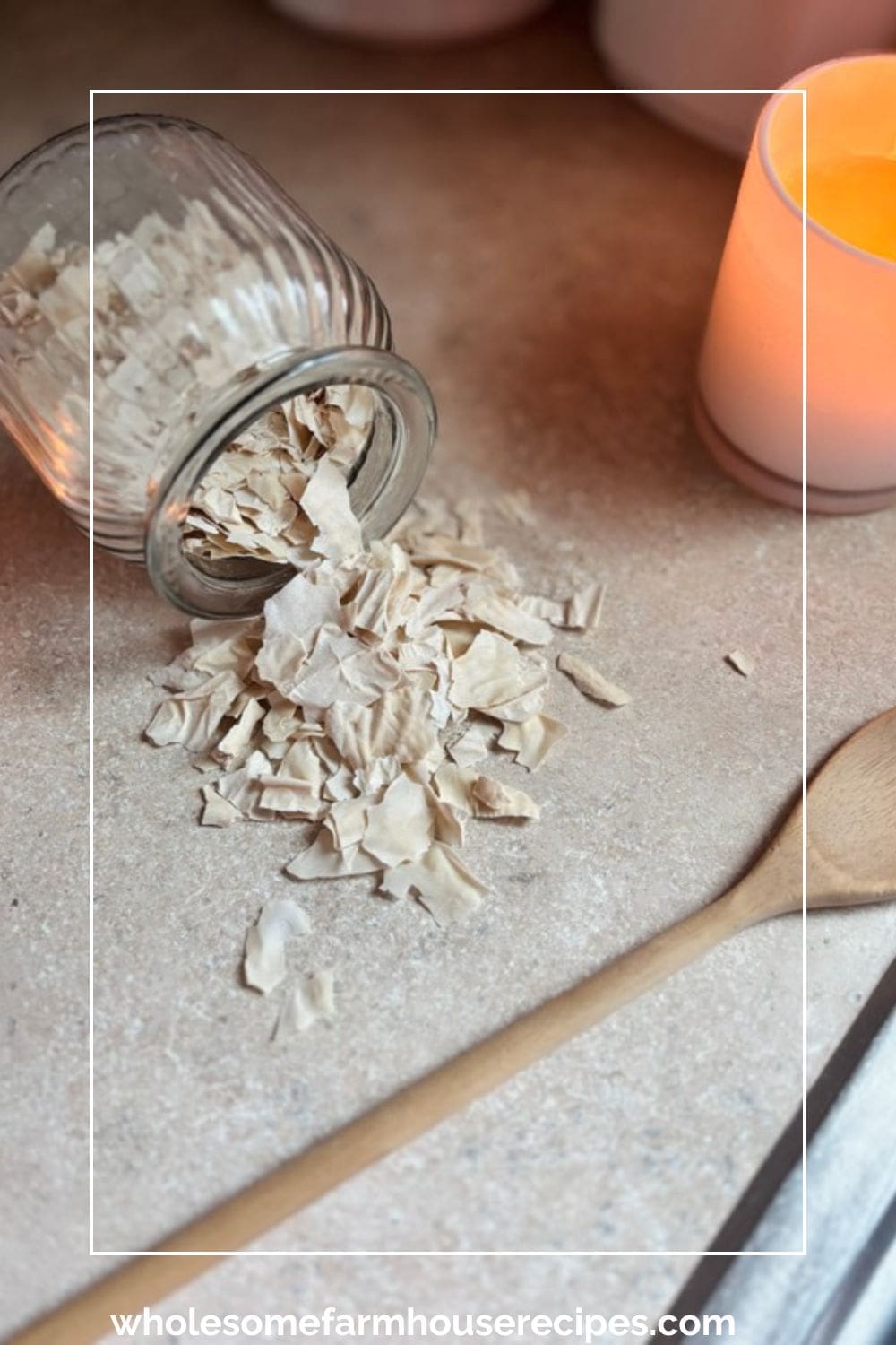 Dehydrated Sourdough Starter