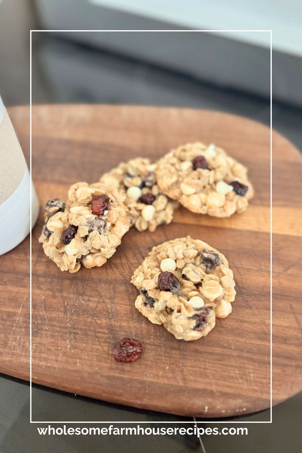 Delicious Oatmeal and Cranberry Cookies