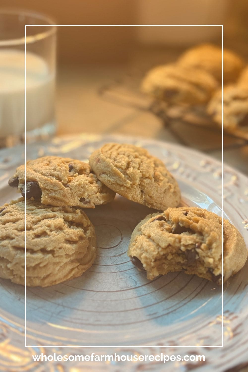 Enjoying Homemade Peanut Butter Cookies