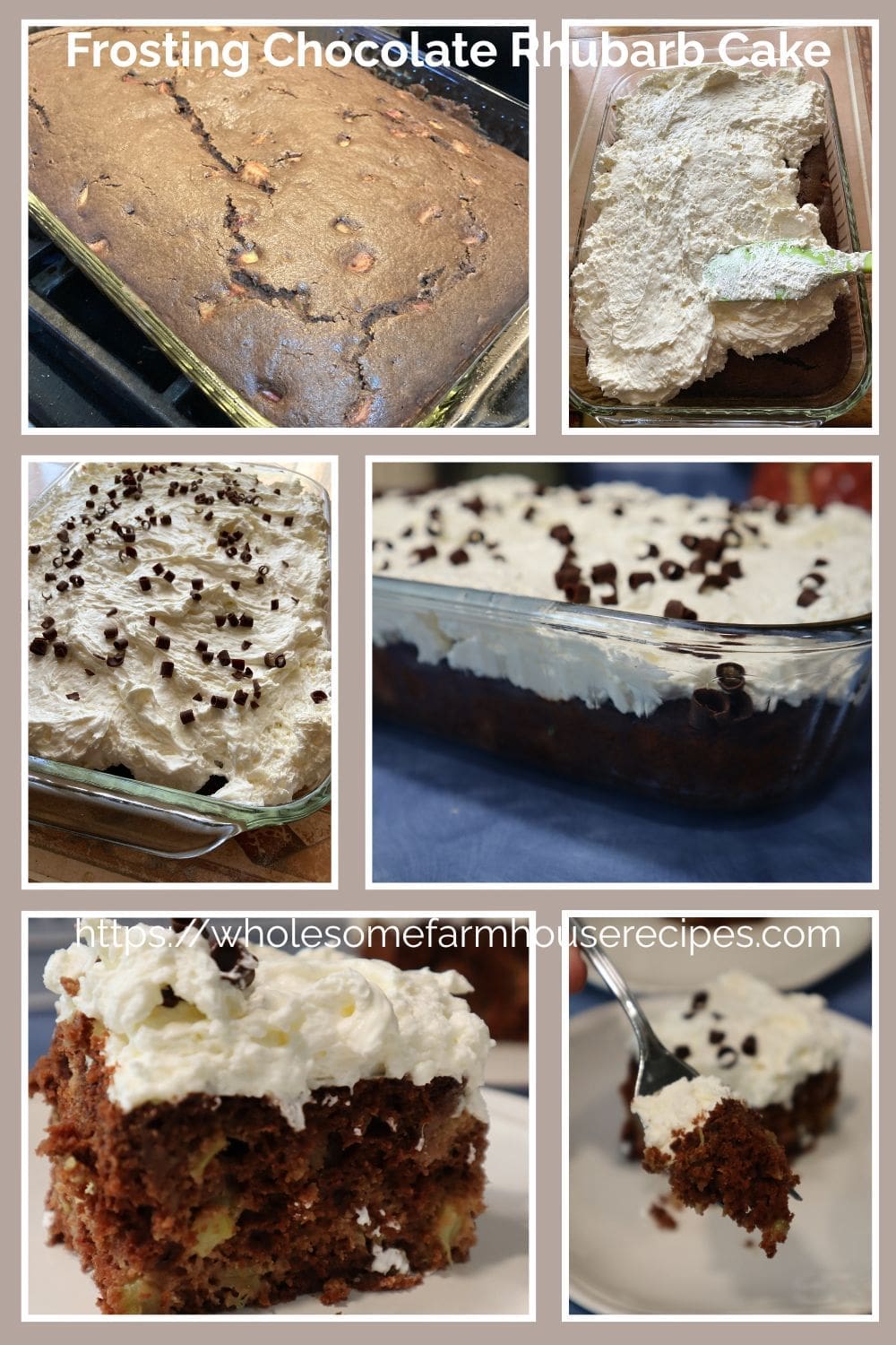 Frosting Chocolate Rhubarb Cake