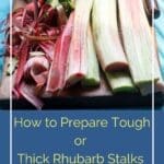 Easy Chocolate Rhubarb Cake with Cream Cheese Frosting