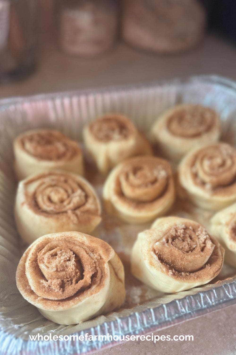 Pan of Cinnamon Rolls Ready for Baking