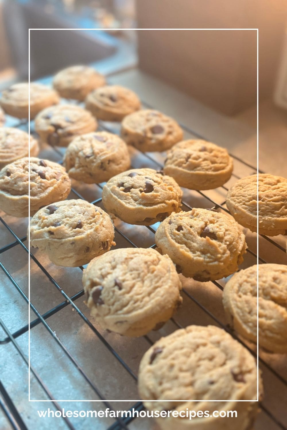 chocolate chip peanut butter cookies cooling on rack