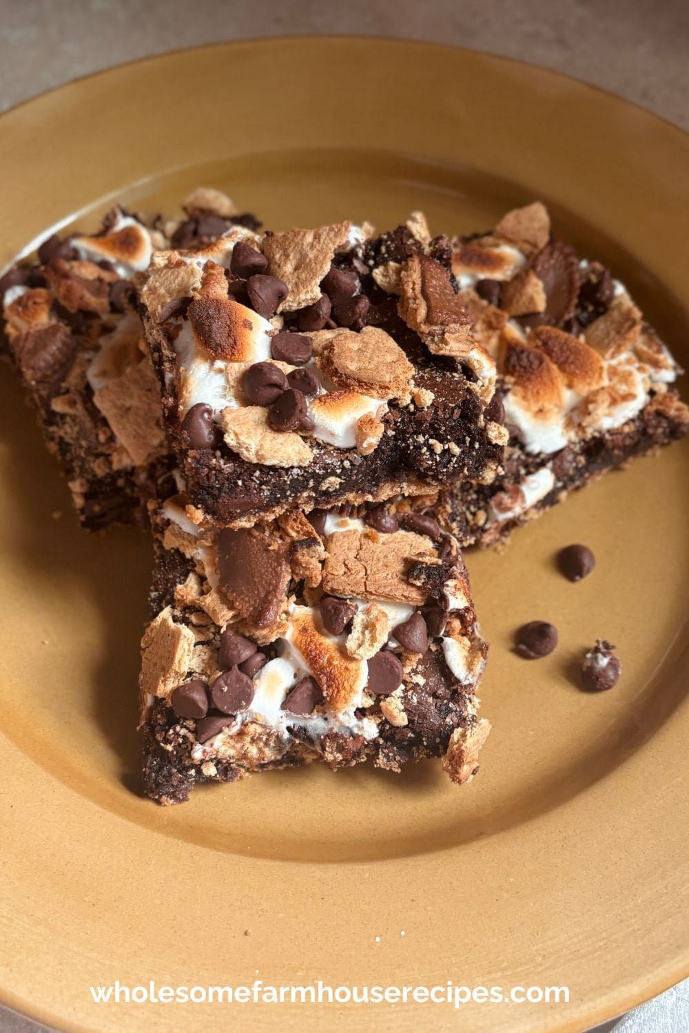 Brownie S'mores for a Crowd