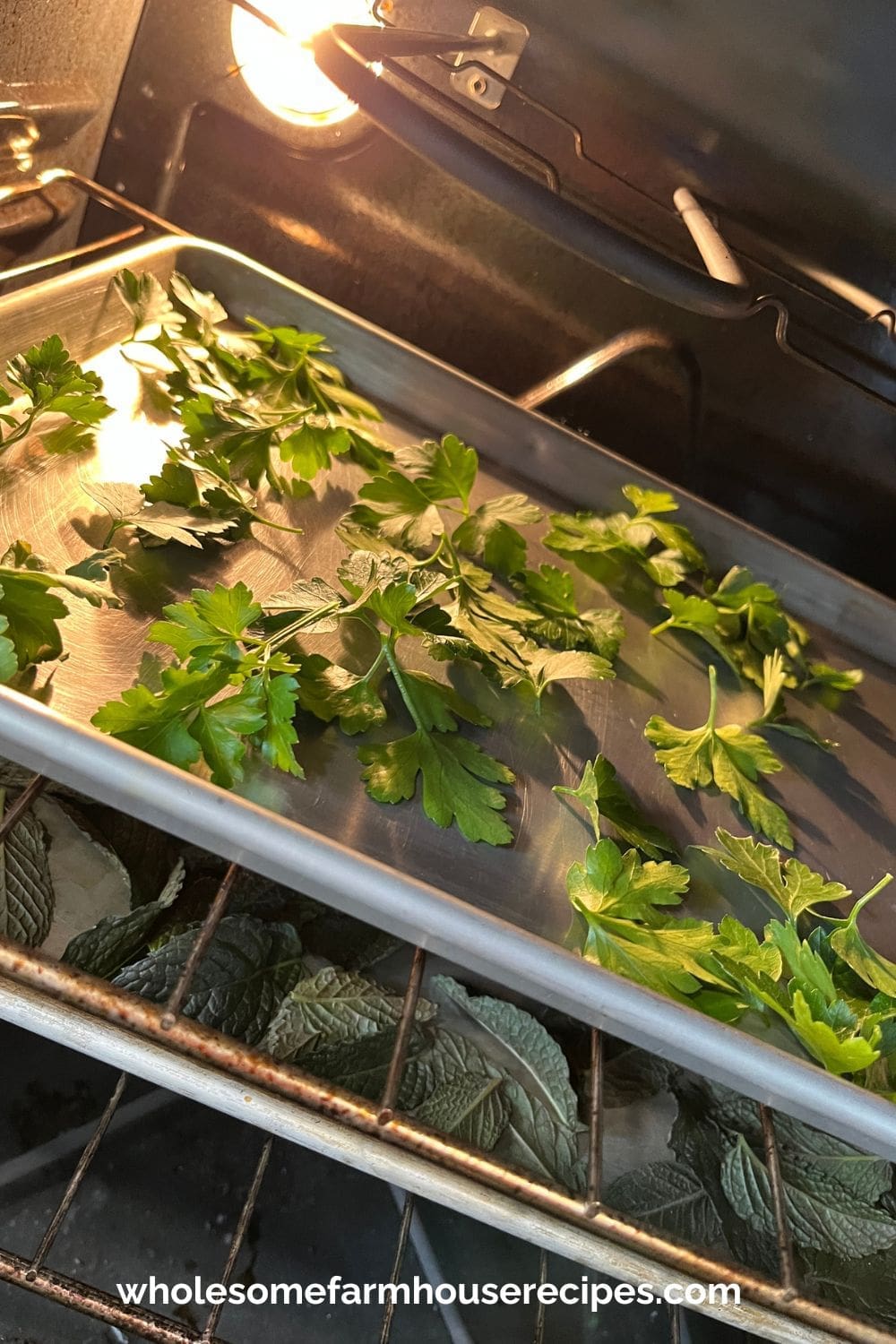 Drying Leafy Herbs