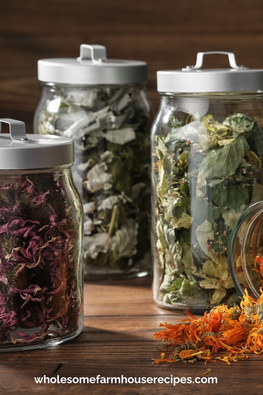 Jars of Dried Herbs