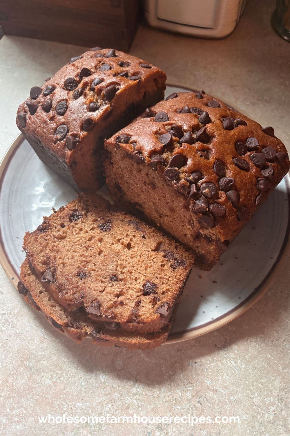 Moist chocolate chip applesauce loaf cake