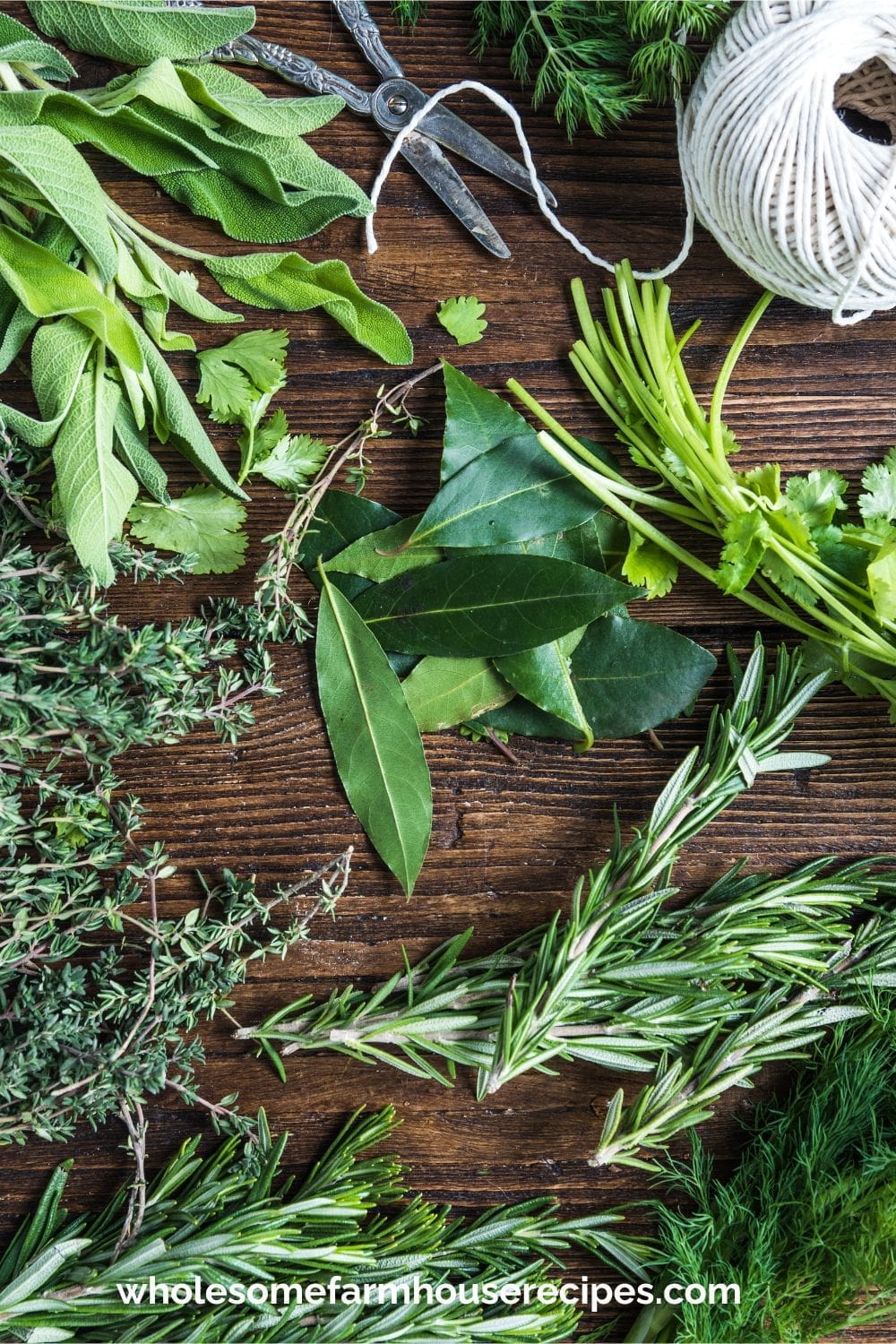 Preparing Herbs for Air Drying