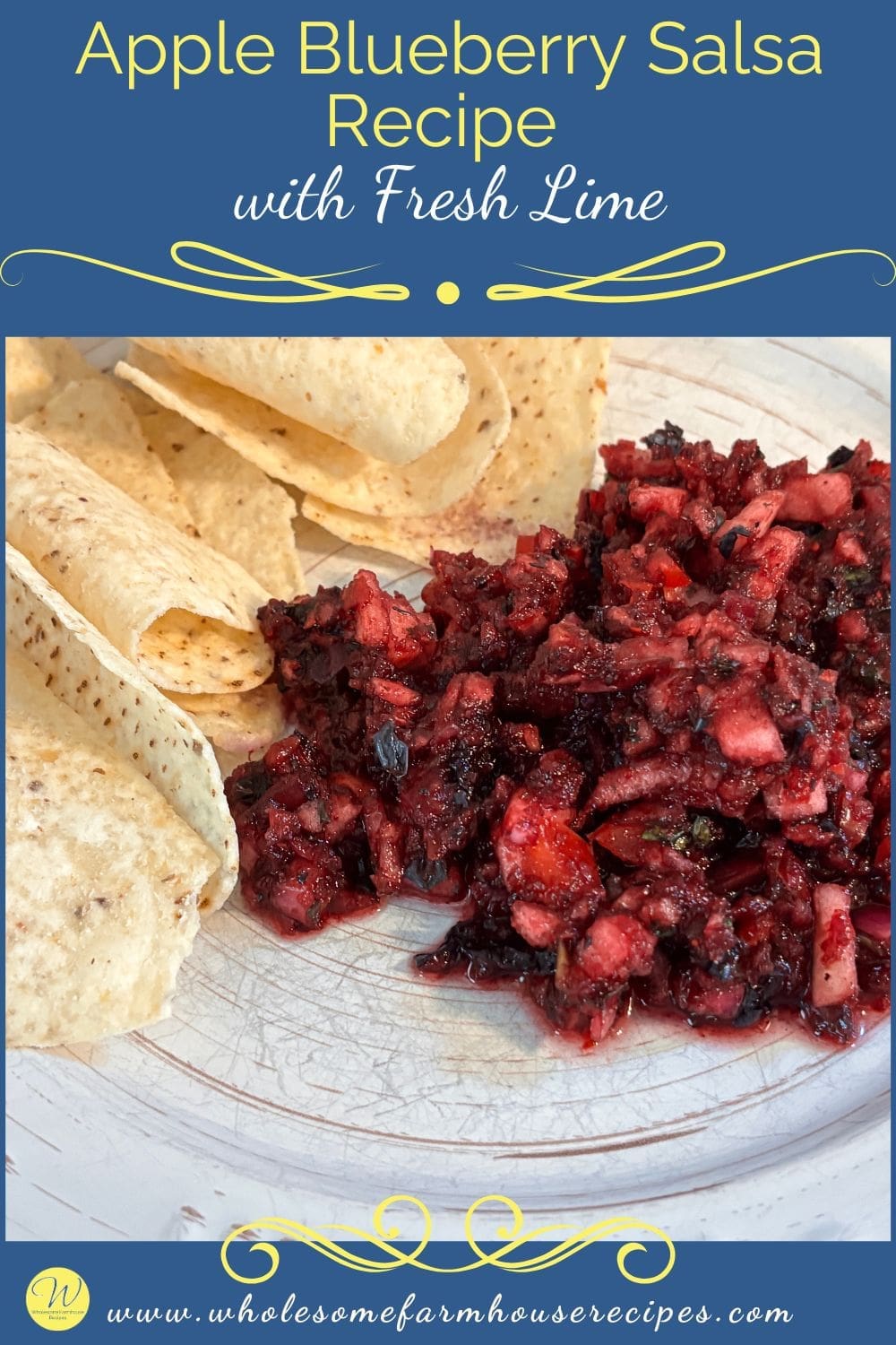 Apple Blueberry Salsa Recipe with Fresh Lime