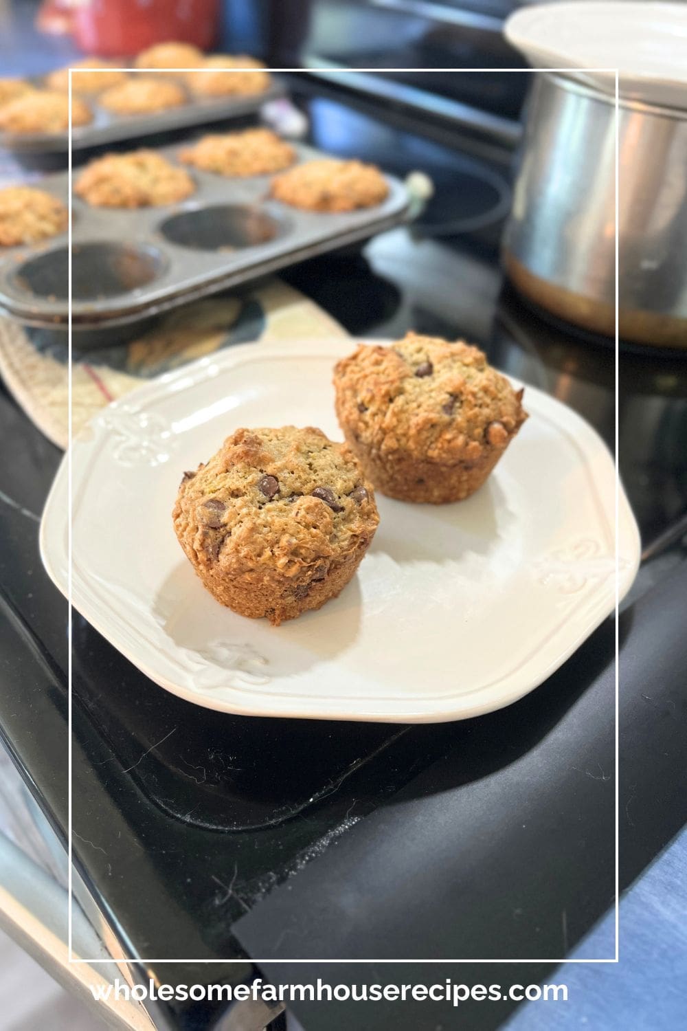 Moist Zucchini Muffins on a Plate