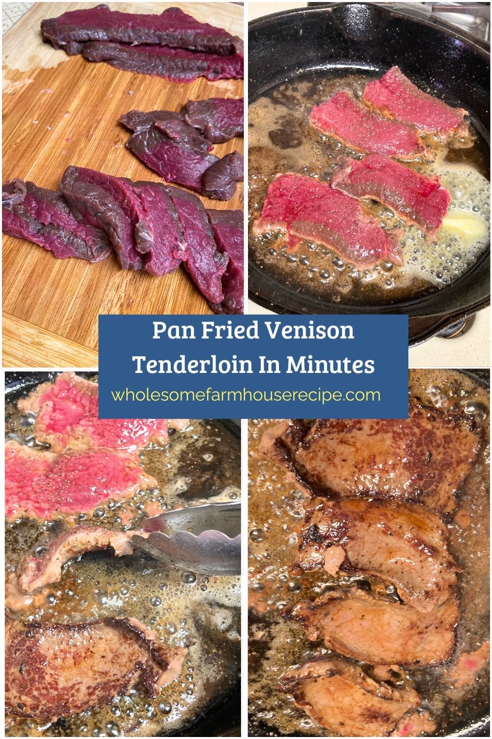 Pan Fried Venison Tenderloin In Minutes
