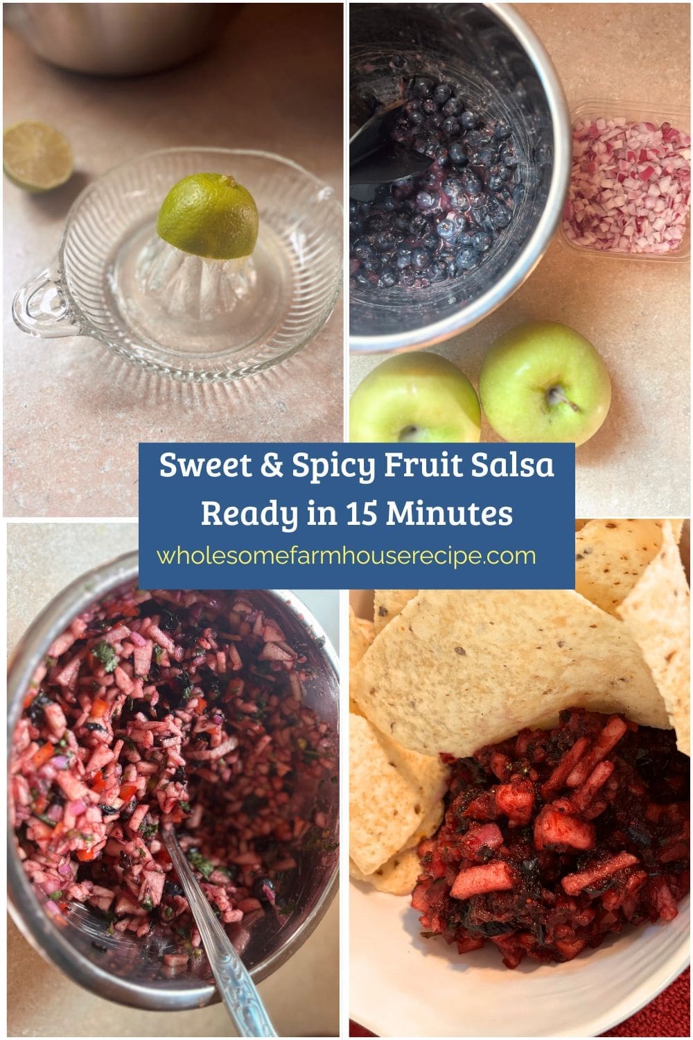 Sweet & Spicy Fruit Salsa Ready in 15 Minutes